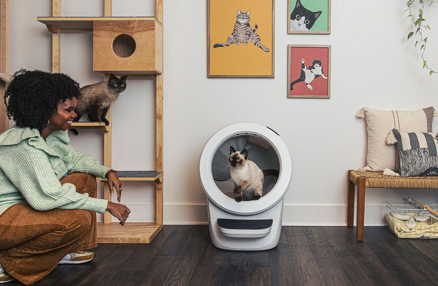 Reconditioned Litter-Robot 4 Automatic Self-Cleaning Litter Box for Multi-Cat Homes