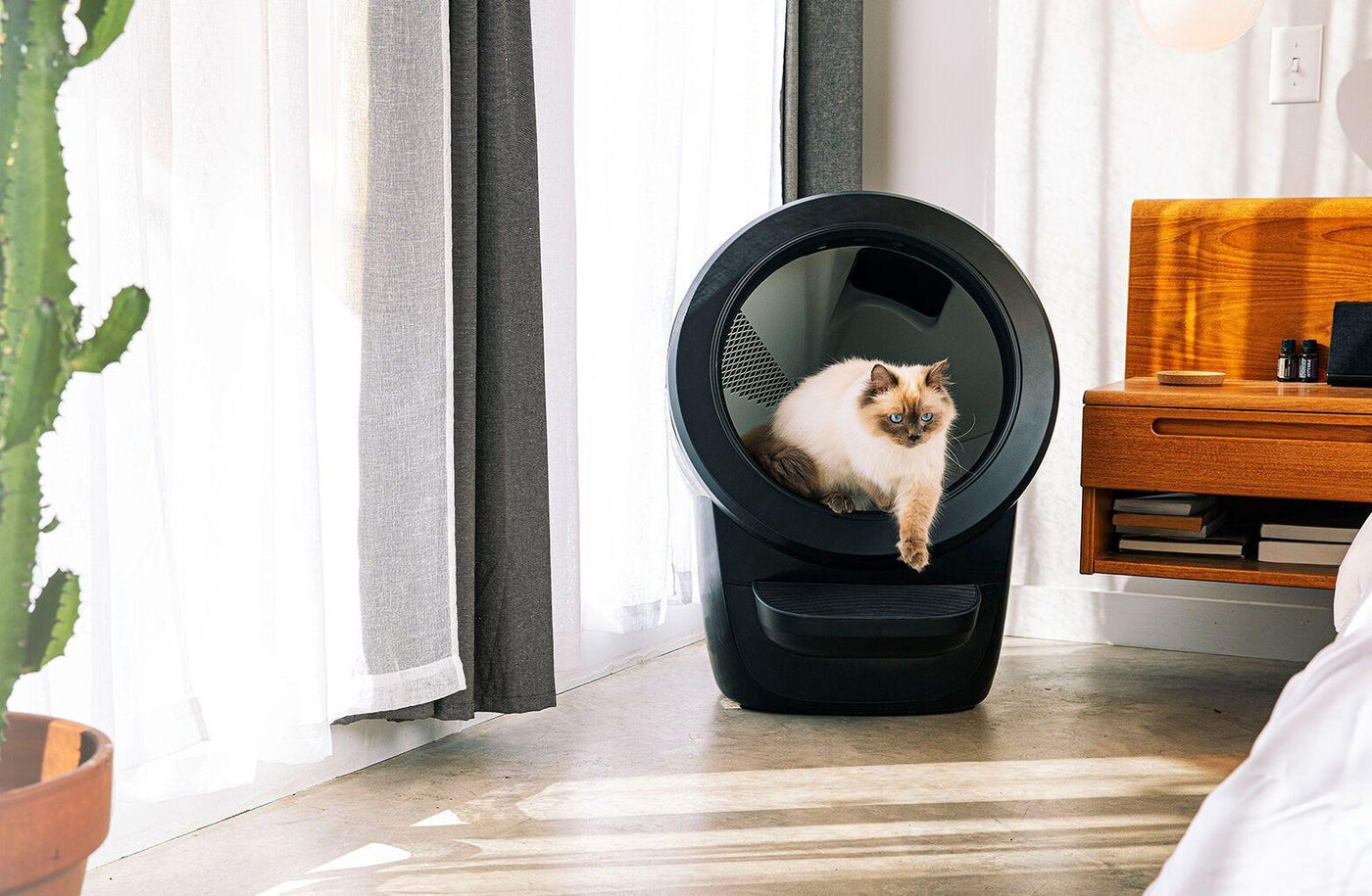 Reconditioned Litter-Robot 4 Automatic Self-Cleaning Litter Box for Multi-Cat Homes