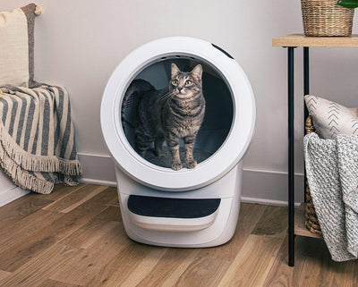 Quiet Self-Cleaning Reconditioned Litter-Robot 4 Bundle for Multiple Cats Odor Control
