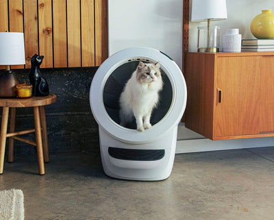 Litter-Robot 4 WhiskerCare Bundle: Smart Self-Cleaning Litter Box with 3-Year Protection Plan