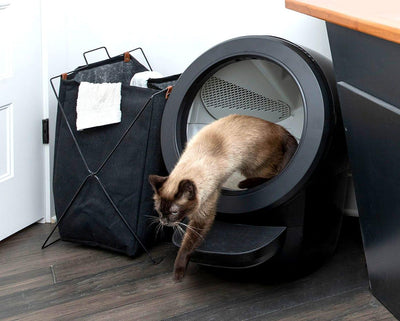 Litter-Robot 4 WhiskerCare Bundle: Smart Self-Cleaning Litter Box with 3-Year Protection Plan